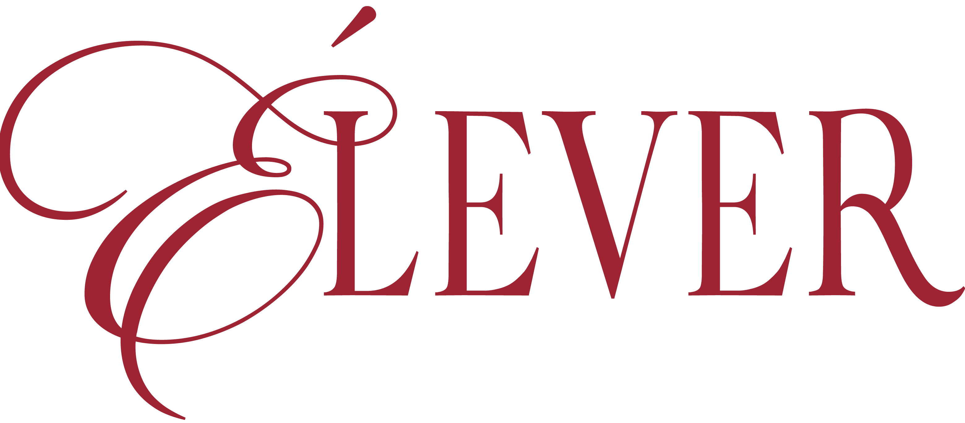 Eleverlifestyle